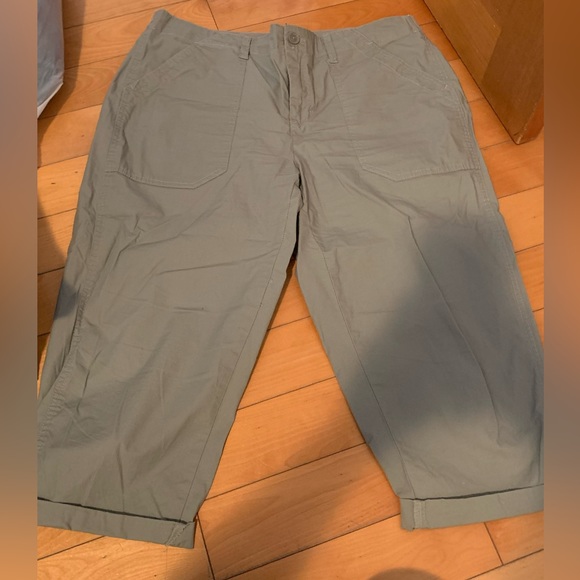 Capris - Picture 1 of 1